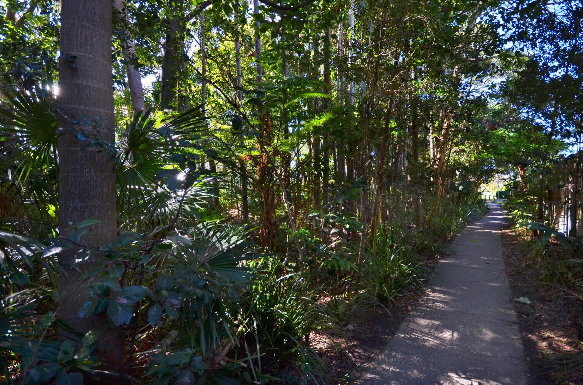 קלונדרה Raintrees Moffat Beach מראה חיצוני תמונה
